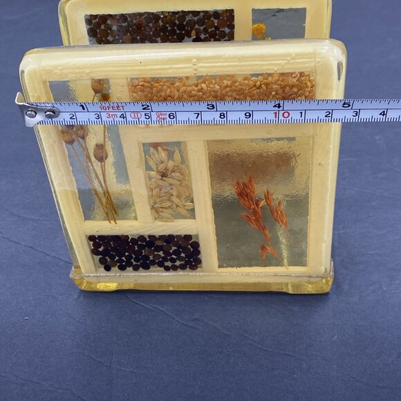 Vtg Napkin Holder 70's Lucite Resin Acrylic Seeds Flowers Farmhouse Granola - Picture 11 of 12
